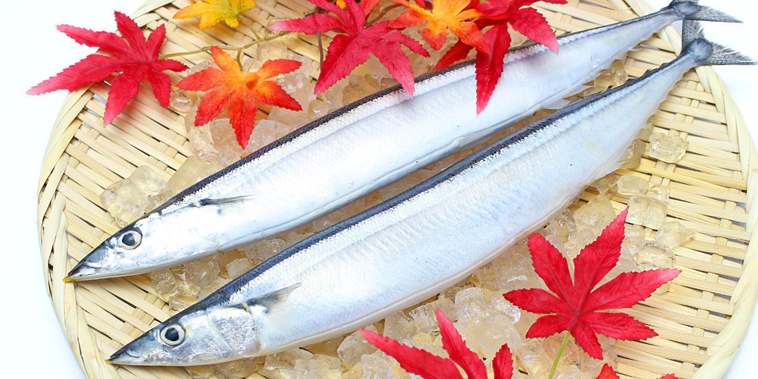 【万蓮秋フェア】穴子や秋刀魚など秋の食材を使った季節料理