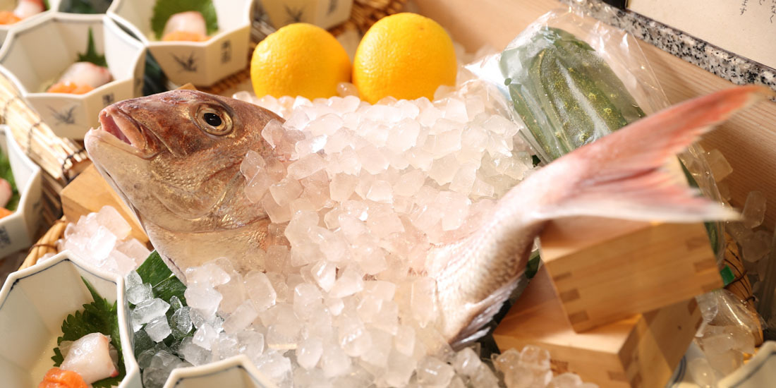【万蓮夏フェア】淡路島産天然鱧や天然明石鯛など夏の食材を使った季節料理