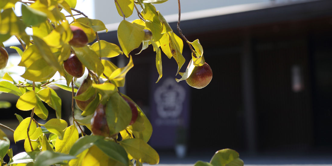 二十四節気の一つ「処暑」