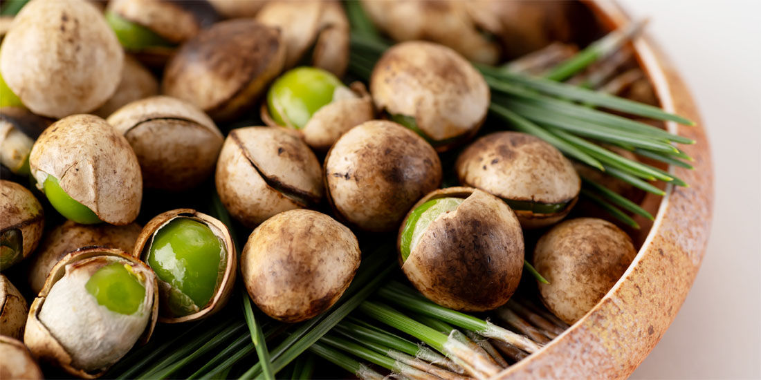 【御食事処 水蓮】秋の味覚フェア