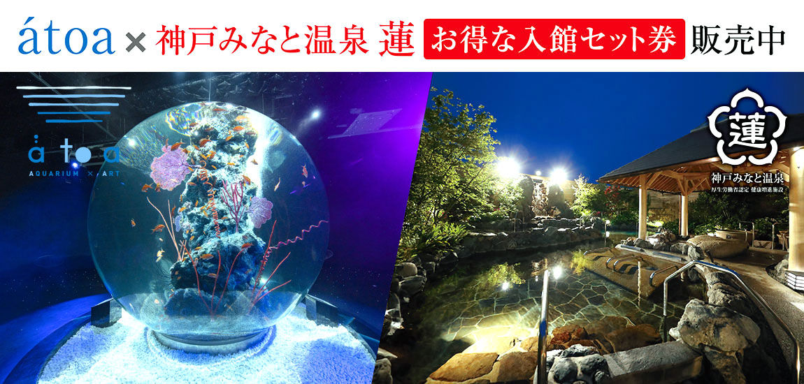 劇場型アクアリウム「átoa(アトア)」とのお得な入館セット券を販売中