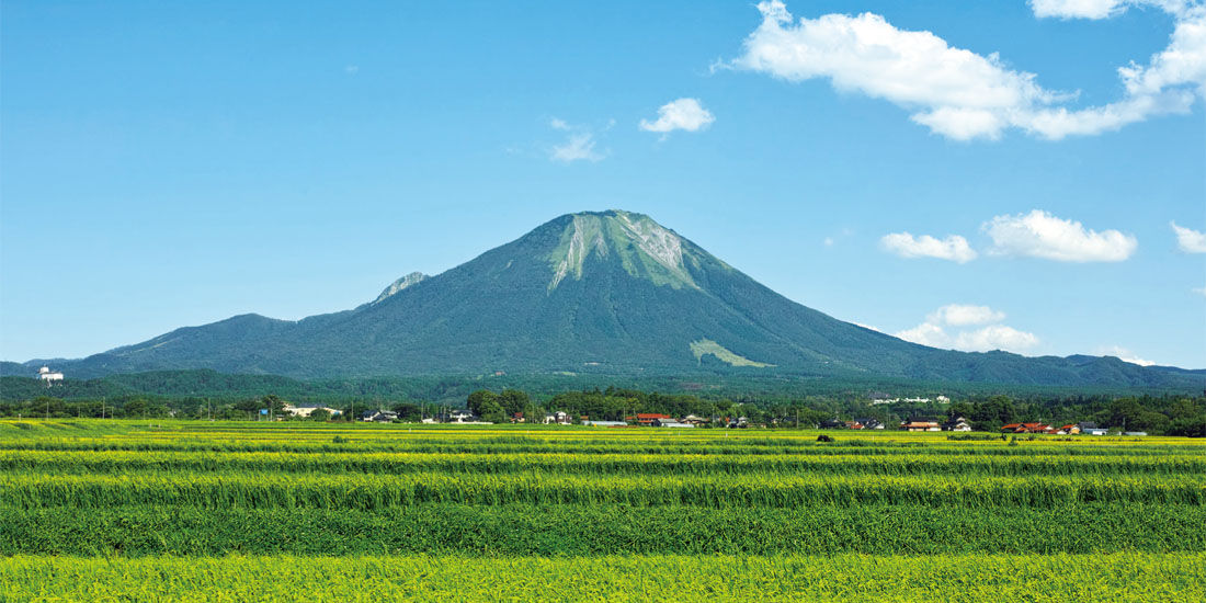 ソムリエおすすめワイン ~大山ワイナリーフェア~