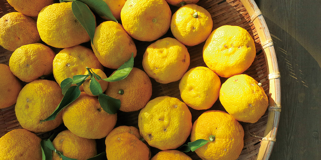 月替わり湯 12月の暦風呂「柚子湯」