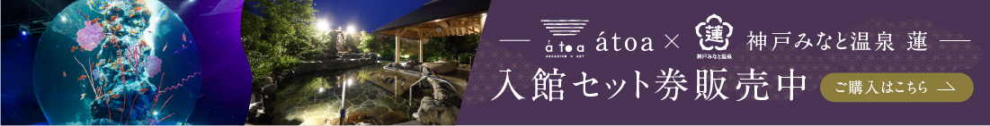 入館セット券