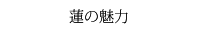 蓮の魅力