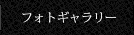 フォトギャラリー