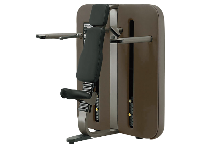 キネシスステーションオーバーヘッドプレスイメージ