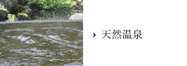 天然温泉