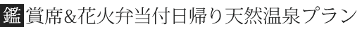 鑑賞席&花火弁当付日帰り天然温泉プラン
