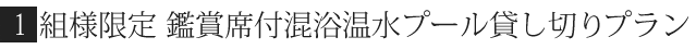 鑑賞席付日帰り天然温泉プラン