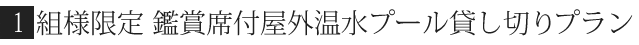 鑑賞席付日帰り天然温泉プラン