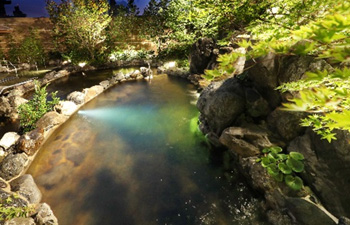 滝の流れる音を一番近くで感じるたか湯