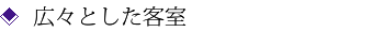 広々とした客室