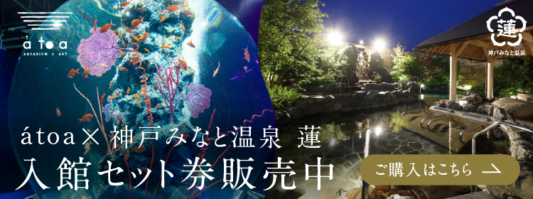 入館セット券