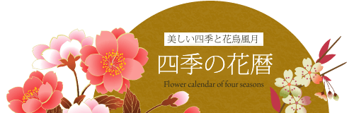 四季の花暦