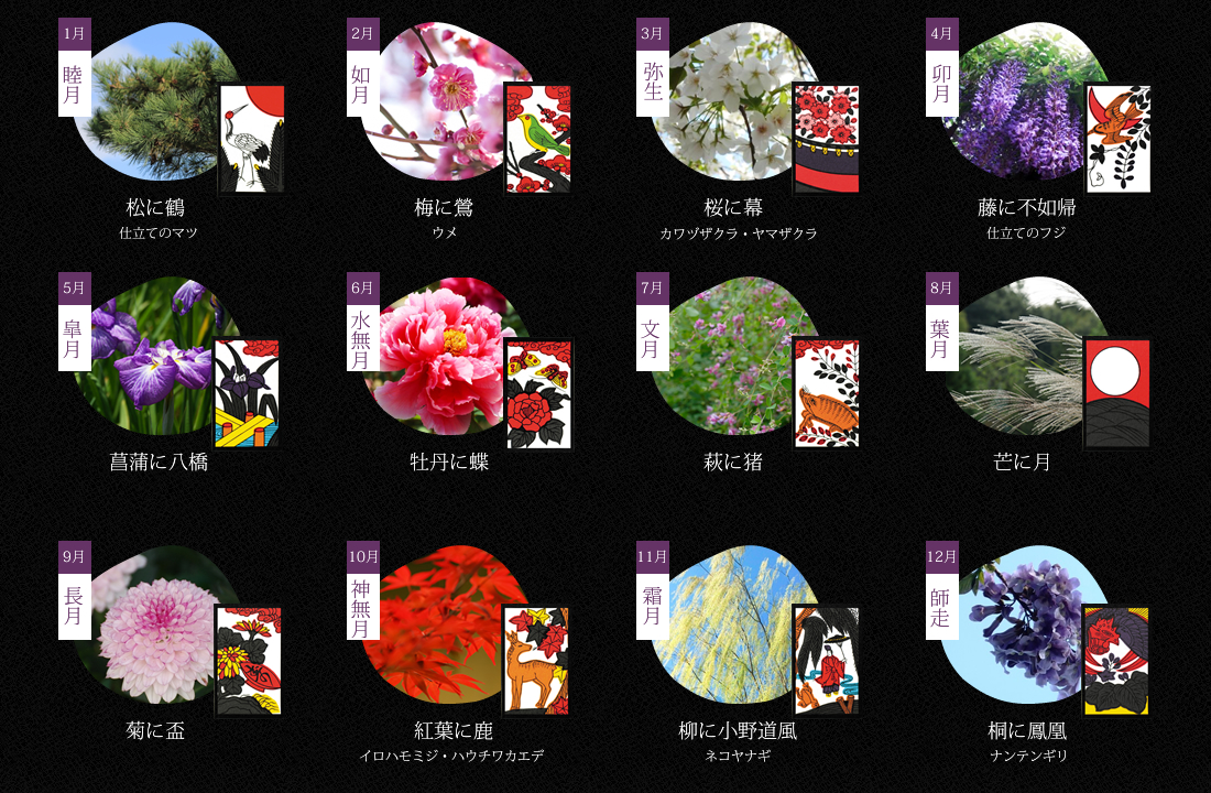 花札で見る四季の花暦のイメージ画像